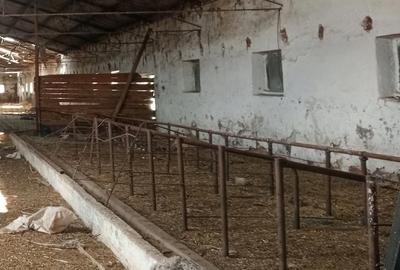 Spațiu comercial, de 4,565 mp, în Cunța - 2
