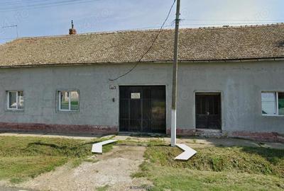 Casă cu 8 camere cu Teren 1250 Mp în Cenad - 7
