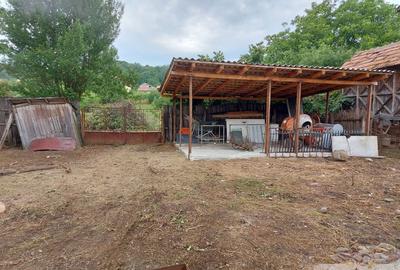 Casă cu 4 camere în Bucșani - 6