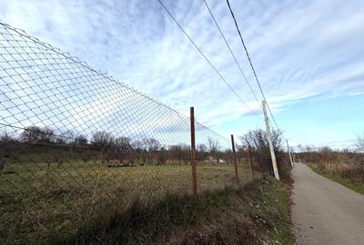 Teren Construcții intravilan de 9123 mp, în Vălenii de Munte - 12