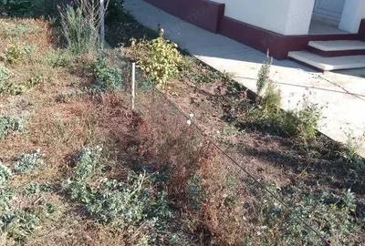 Casa de vanzare in Garbovi, jud. Ialomi?a la doar 70 km de Bucure?ti! - 10