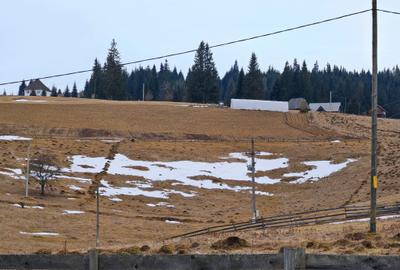 Teren Construcții extravilan de 4663 mp, în Beliș