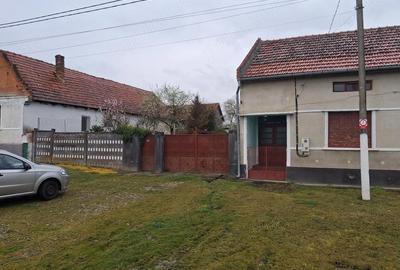 Casă cu 3 camere cu Teren 2700 Mp în Central - 3