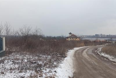 Teren Construcții intravilan de 6383 mp, în Vișan - 6