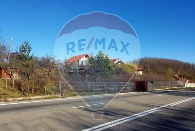 Teren Construcții intravilan în Căzănești (Milcoiu)