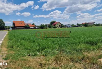 Teren de 9470 mp, în Bolintin-Deal - 10