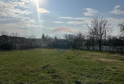 Casă cu 3 camere cu Teren 2609 Mp în Bârgăuani - 12