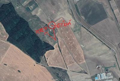 Teren de 1600 mp, în Central - 1