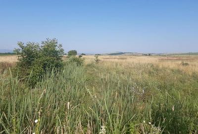 Teren de 19100 mp, în Central - 5