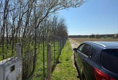 Teren de 800 mp, în Gruiu - 7