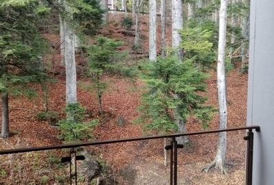 VAND PENTHOUSE 280 MP IN VILA + GARAJ LUX IN SINAIA PH COTA 1400 - 14