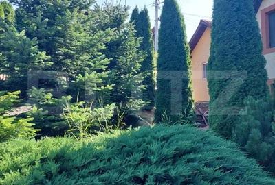 Casă cu Teren 476 Mp în Central - 3