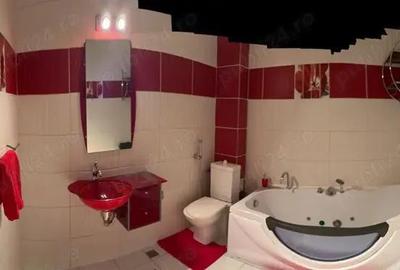 Apartament trei camere in Raul Doamnei bloc din 2010 - 15