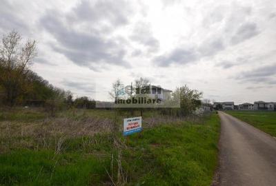 Teren Construcții intravilan de 3200 mp, în Snagov - 11