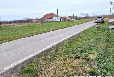 Cota 1/2 casa si teren Pustini?, jud. Timi?-id R1992745 - 5