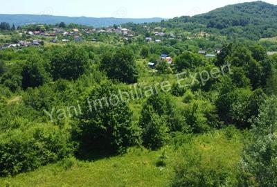 Teren de vanzare in comuna Baicule?ti, sat Valea lui Enache, jude? Arge?. - 5