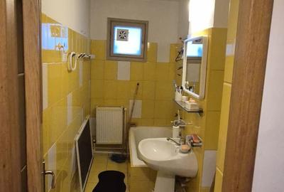 Luica - Garsoniera centrala proprie , ideal investitie - 9