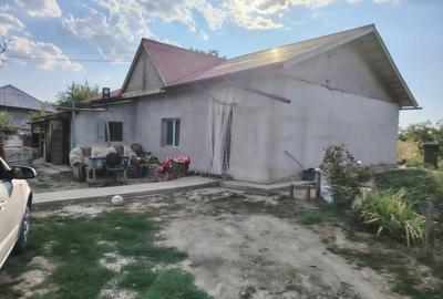 Casă cu 3 camere cu Teren 3300 Mp în Ștefănești - 1