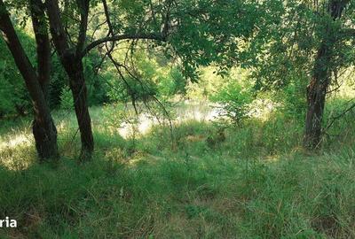 Teren de 700 mp, în Dobra - 2