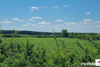 Teren extravilan 3,56 hectare in Dorolt ( ID 22873) - 6