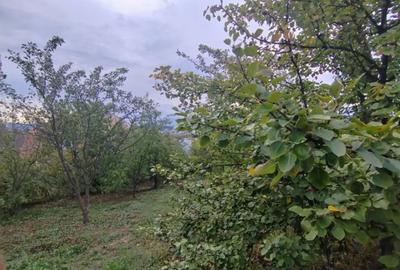 Casă cu 2 camere cu Canalizare în Central - 5