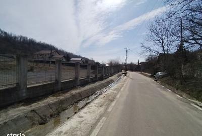 Teren de 5100 mp, în Răzvad - 1