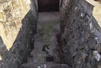 Casă cu Teren 2000 Mp în Loranta - 2