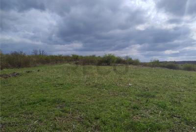 Teren de 10071 mp, în Paleu