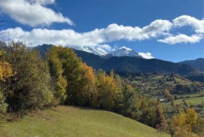 Spațiu comercial, în Bran - 8