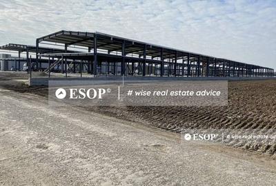 Park Logistic Mogosoaia, spatii depozitare, productie, 590-933mp - 2
