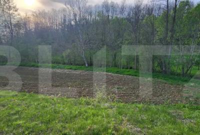 Teren de 6659 mp, în Nisipoasa - 9