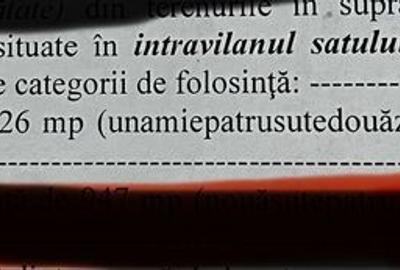 Spațiu comercial, în Dănceu - 5