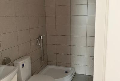 Apartament cu 3 camere decomandat, mobilat în Theodor Pallady - 12