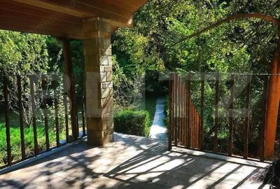 Casa de Vacan?a pe Valea Ighielului 3 camere, 2500 mp curte - 6