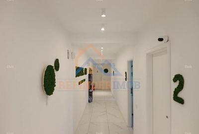 Doua vile in zona Calea Plevnei - 1