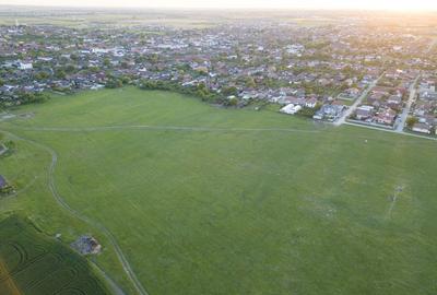 Teren intravilan 5,44 ha, Vladimirescu Teren intravilan 5,44 ha, Vladimirescu - 2