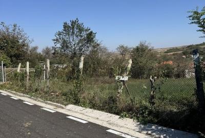 Teren intravilan de vanzare | 1352 mp | Comuna Pauca - 7