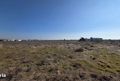 Spațiu comercial, în Corbu - 4