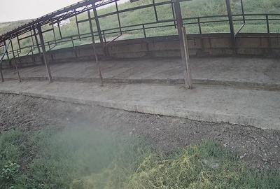 Dorohoi, Botosani - 5