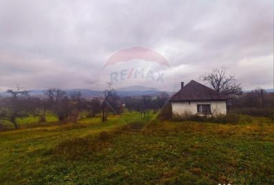 Teren de 4627 mp, în Unguraș - 10