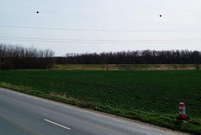 Teren intravilan 5.000 m² cu 40 m deschidere la DN2A – langa Kaufland Slobozia - 8