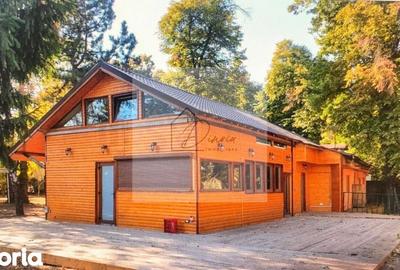 Spațiu comercial, de 120 mp, în Kiseleff - 7