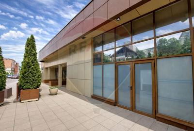 Spațiu comercial, de 417.05999755859 mp, în Alecu Russo - 3