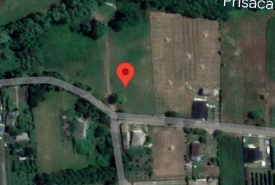 Teren de 2892 mp, în Fălticeni - 5
