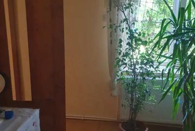 Casă cu 5 camere în Cogealac - 5