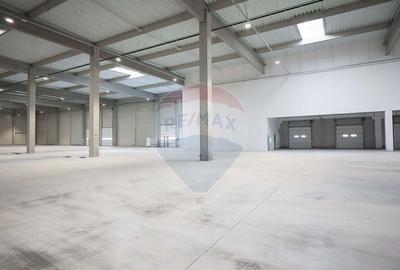 Hala de vanzare, Sc 7014mp, Zona Biharia - 11