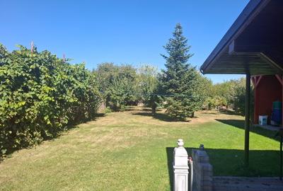 Casa | Palanca | P + 1E | 5 Camere | Curte Mare 1050 MP | Investitie | - 4