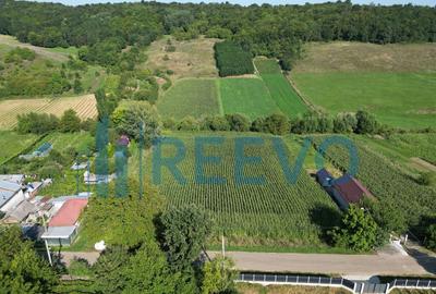 Teren intravilan de vanzare, Sat Bogdan?ti, Com. Traian - 17