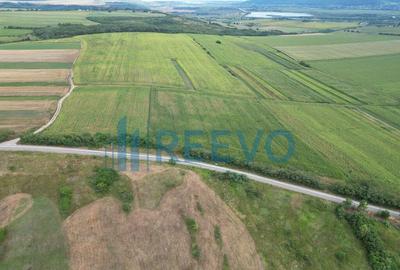 Teren de 3.600 mp Racova - 9