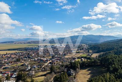 Spațiu comercial, în Poiana Angelescu - 3
